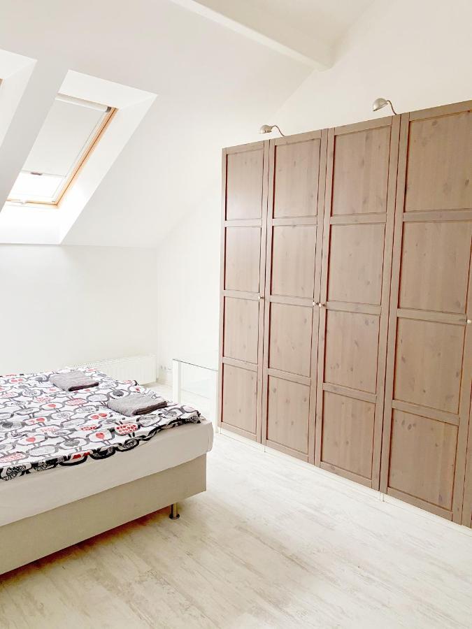 Apartment Loft With Rooftop And Free Parking In Garage Budapest