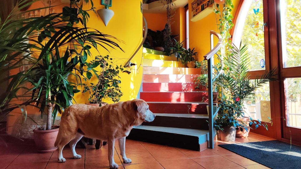 Shantee House Hostal *
