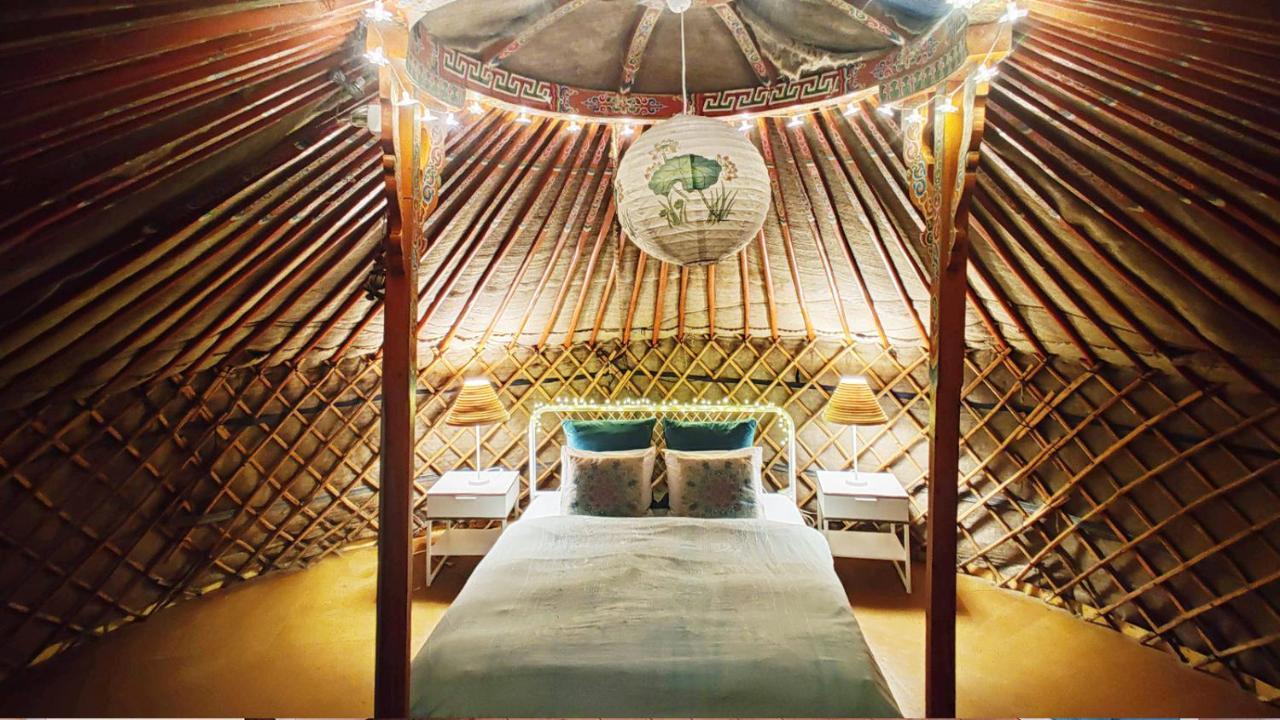 Hostel Shantee House