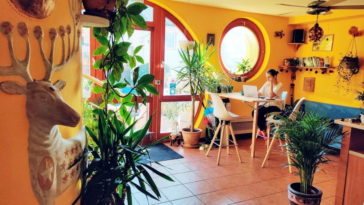 Shantee House Hostel *