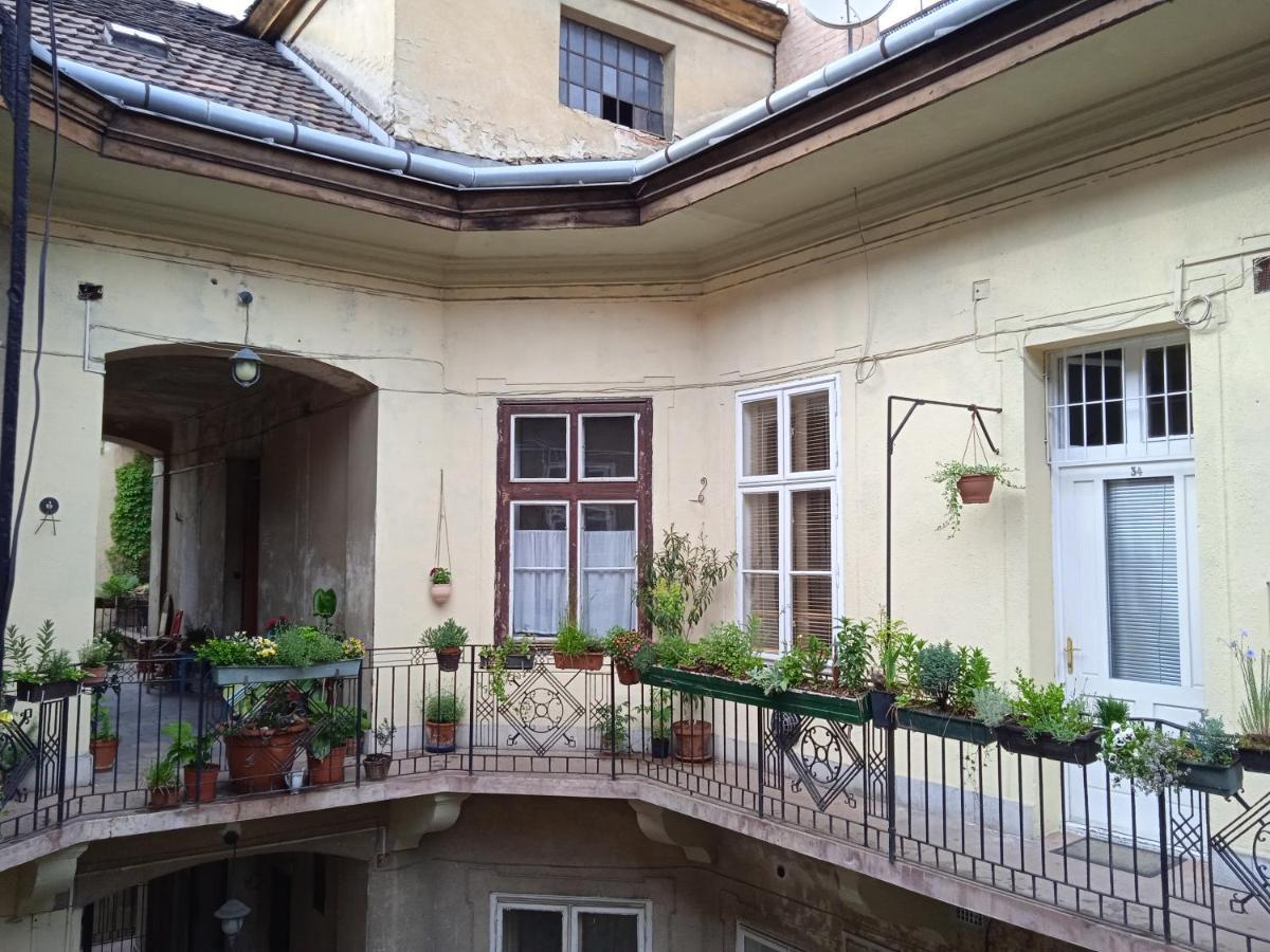 Classical In The Old Pest Appartement