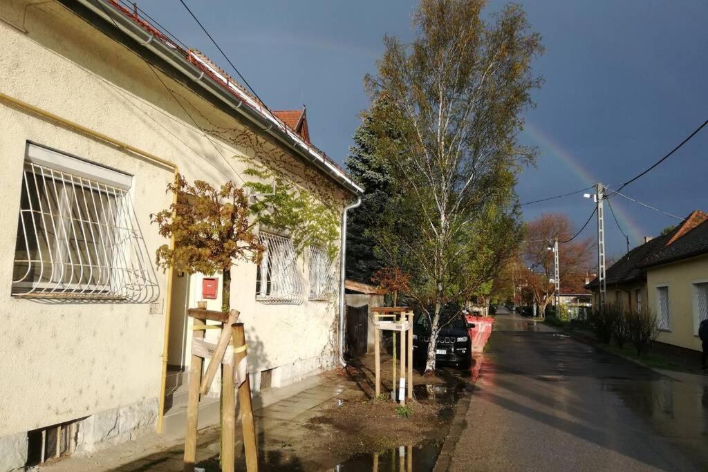 Apartament M&m