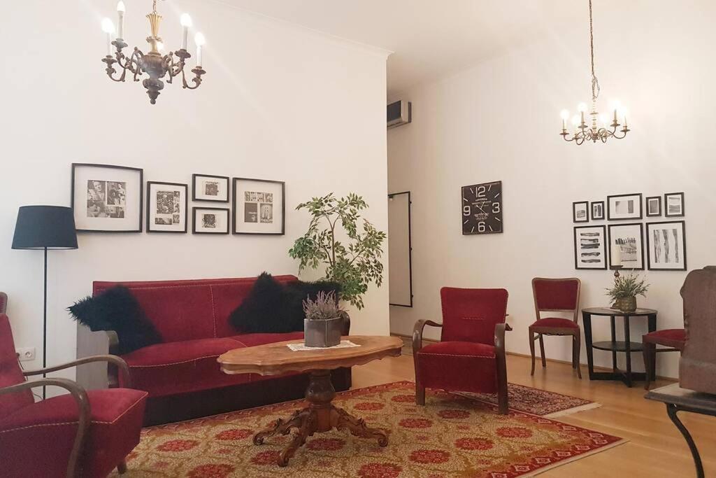 Your Gorgeous And Spacious Dream Free Parking Apartament