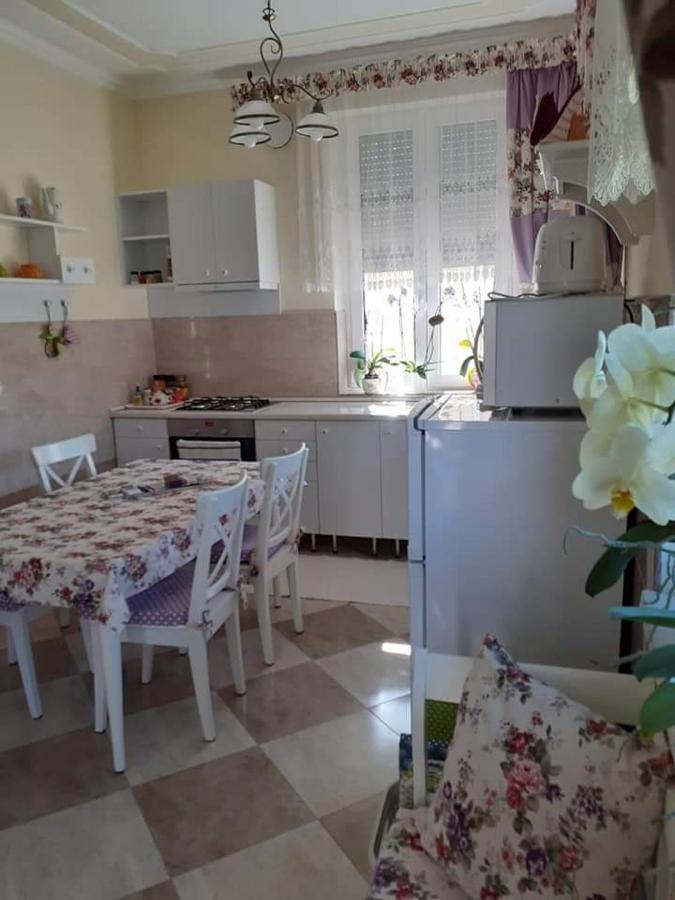 Apartamento Aranyosház-vendégház *