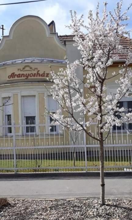 Aranyosház-vendégház * Budapest