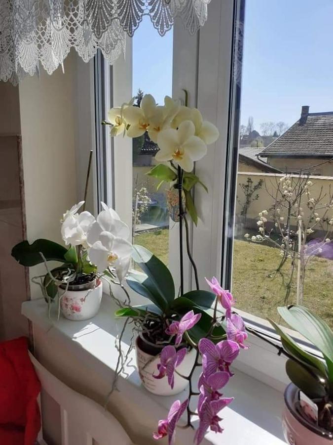 Apartamento Aranyosház-vendégház Budapest