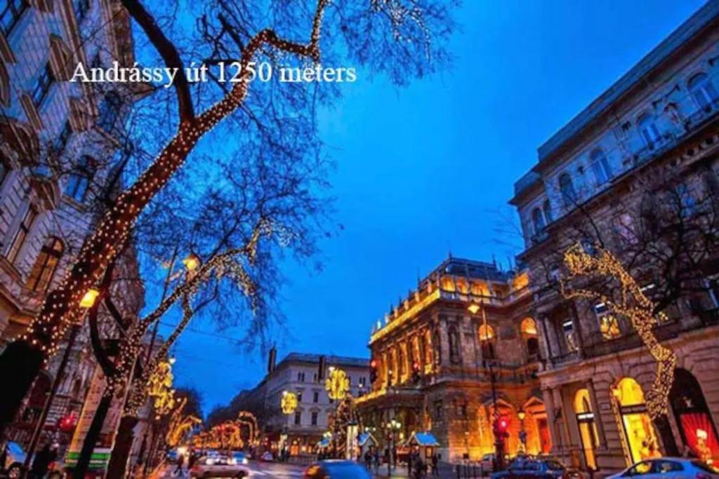 Keleti City Center Big Flat Bedroom Private Use Homestay