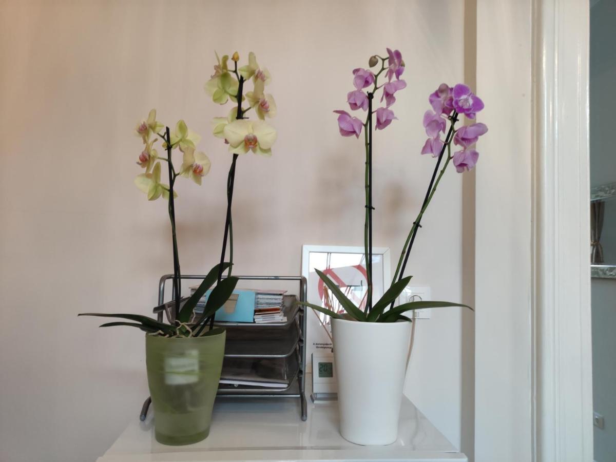 Apartment Falk Miksa