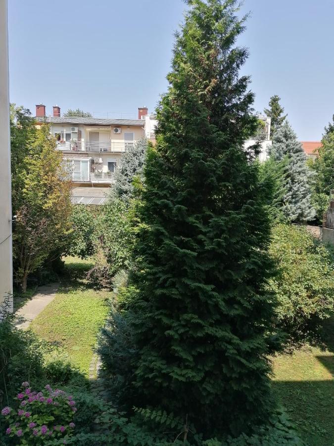 A Jump From Downtown Budapest