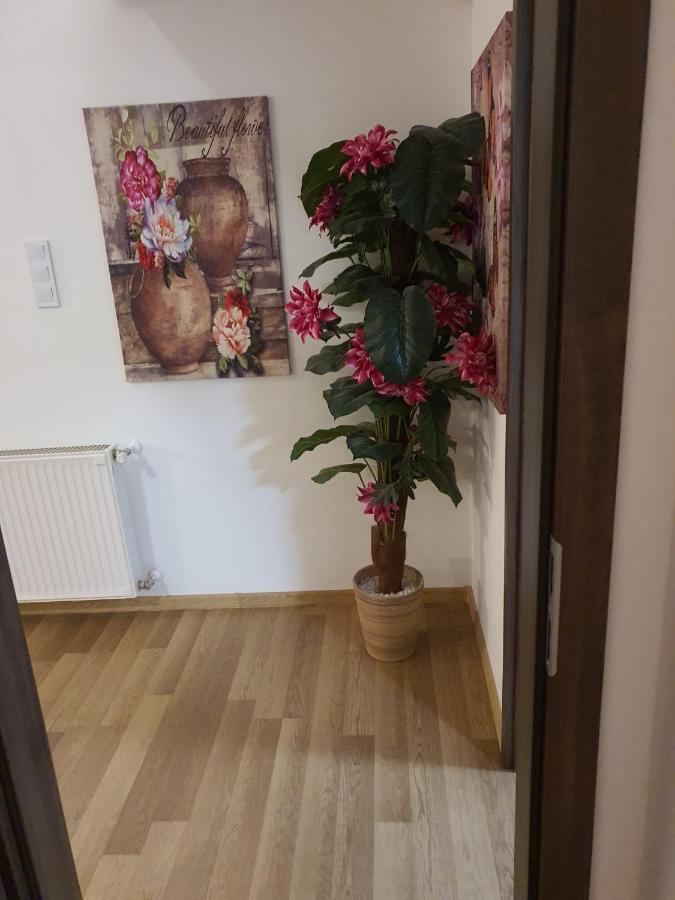 The Loft Apartamento