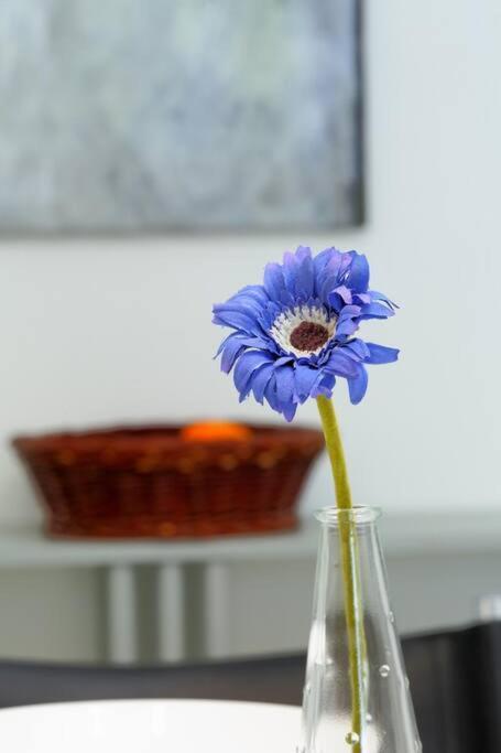 Appartamento Vacation Boutique *
