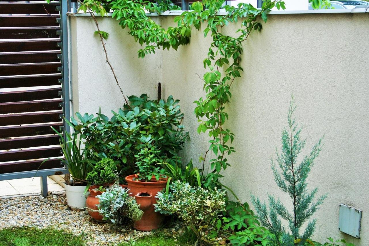 Madarhegy With Garden Buda Side Appartamento