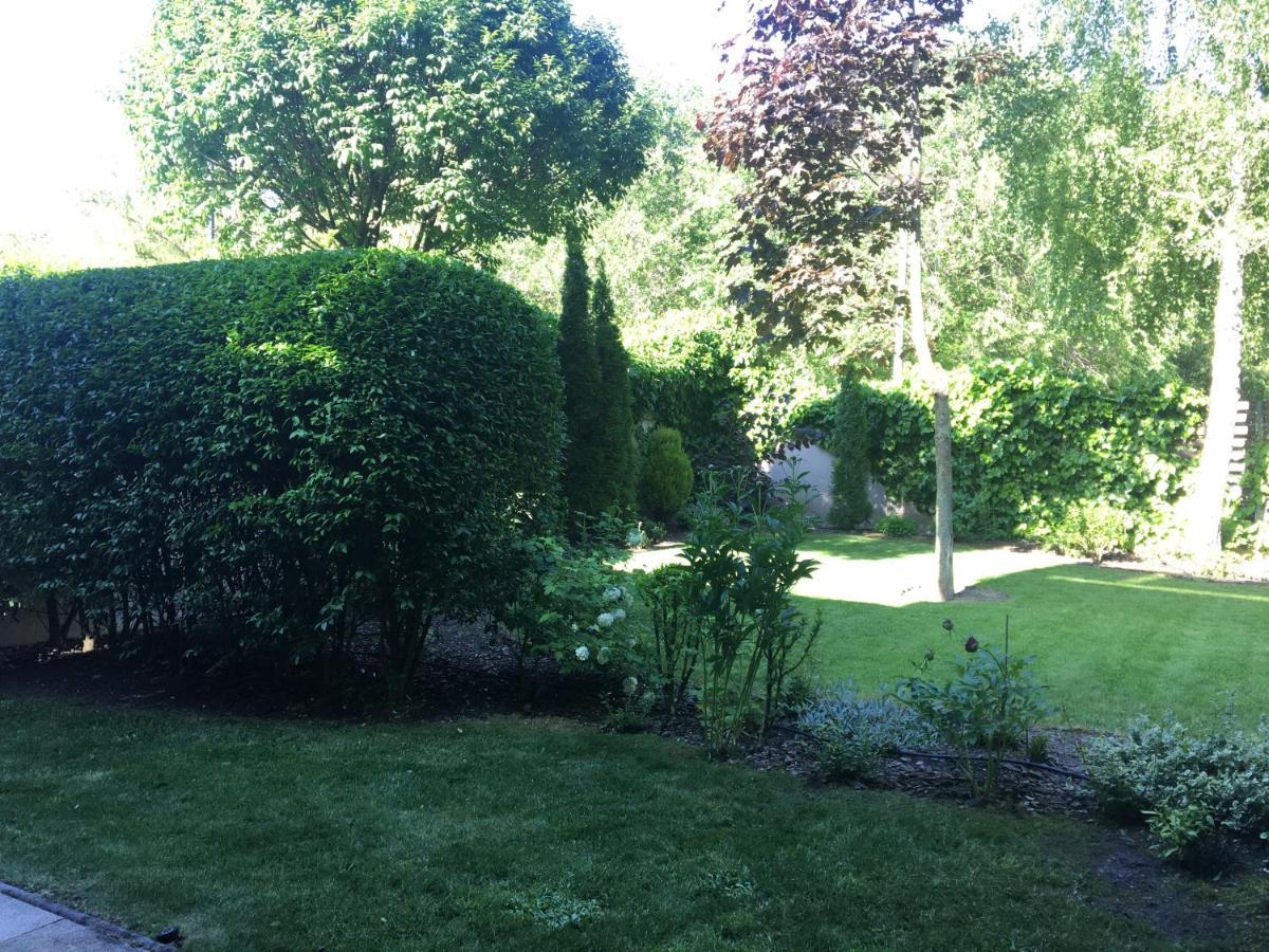 Madarhegy With Garden Buda Side Appartement Budapest