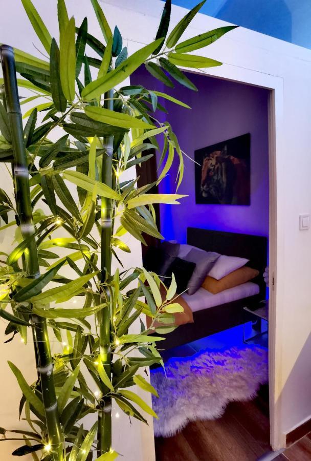 Dolce Vita Supremier Apartmán *