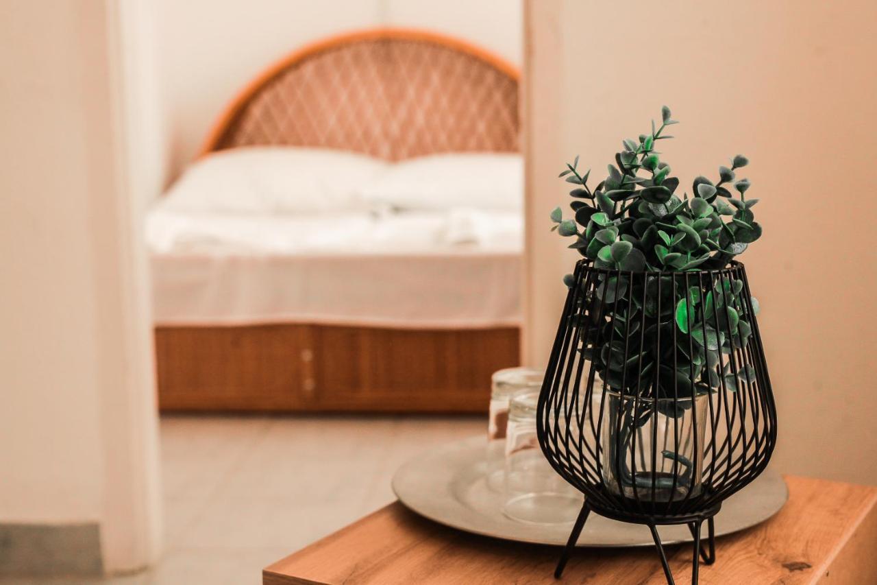 Hotel Timon 3*