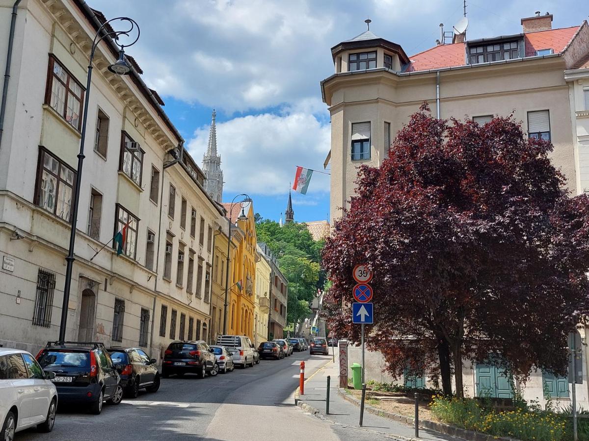 Sunny At The Castle * Budapest