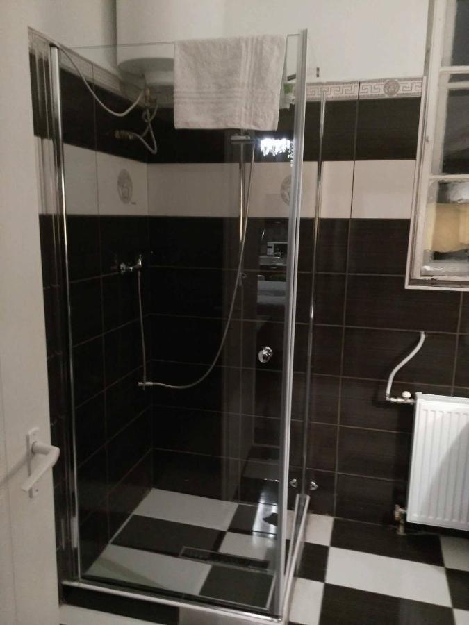 Ground Floor Studio Apartment Budapest