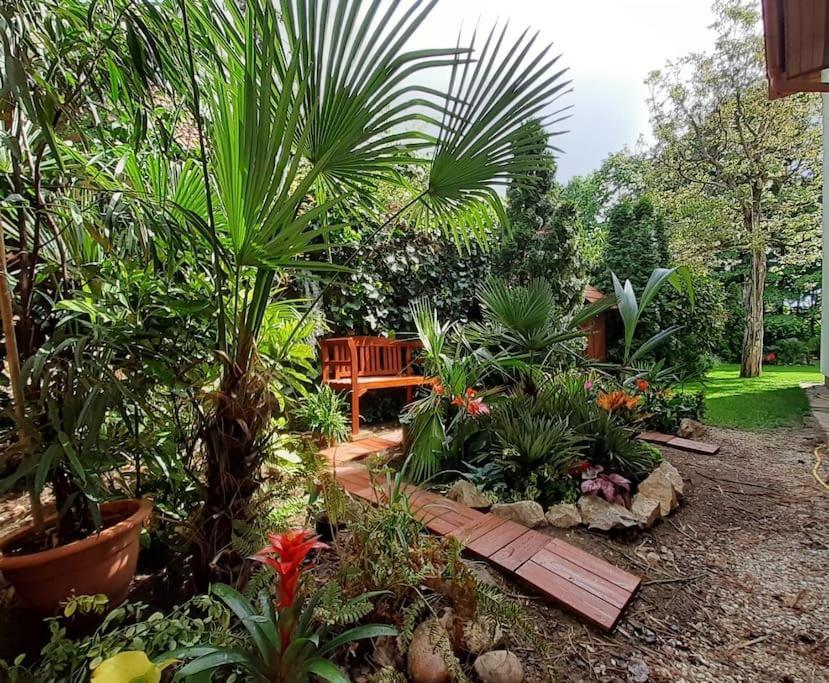 Apartamento House W Little Tropical Garden Budapest