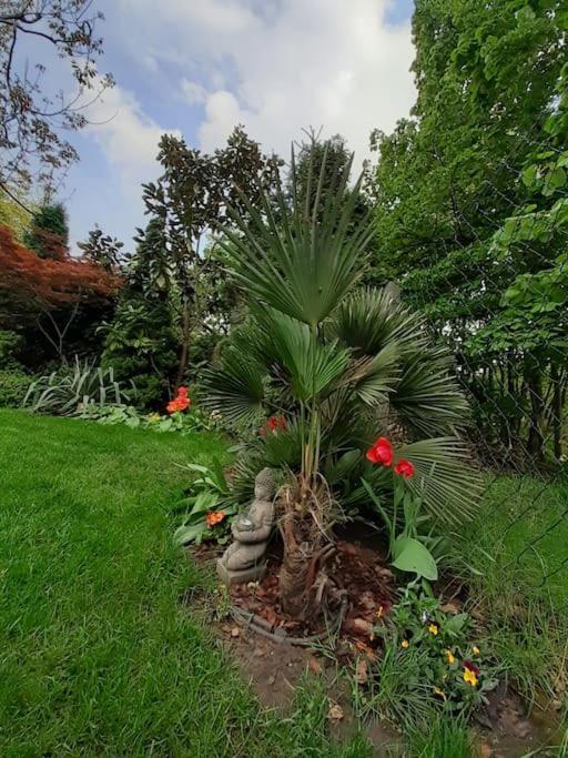 House W Little Tropical Garden
