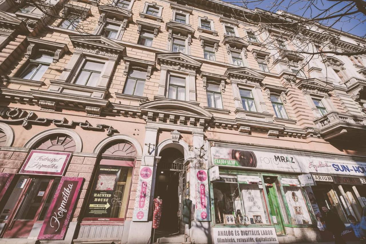 Central Bright And Spacious With 3 Appartement
