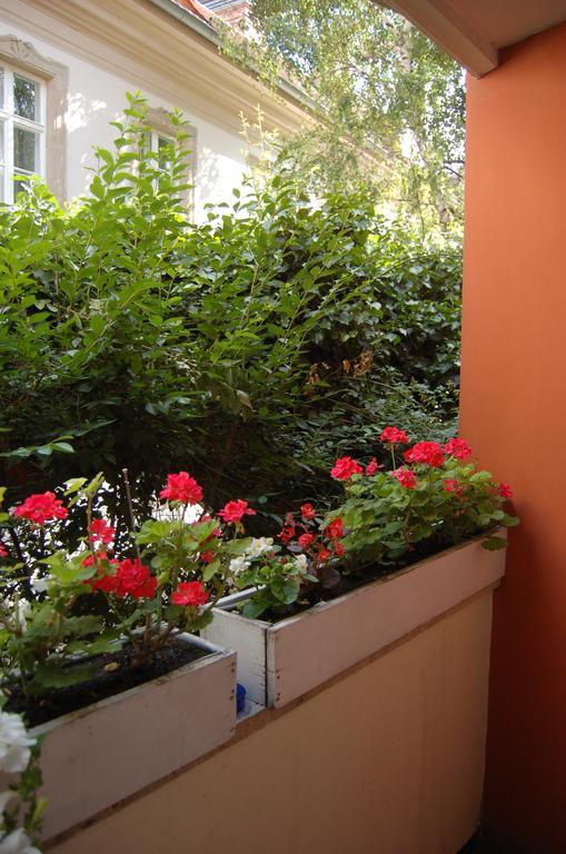 Buda Castle Apartmán *