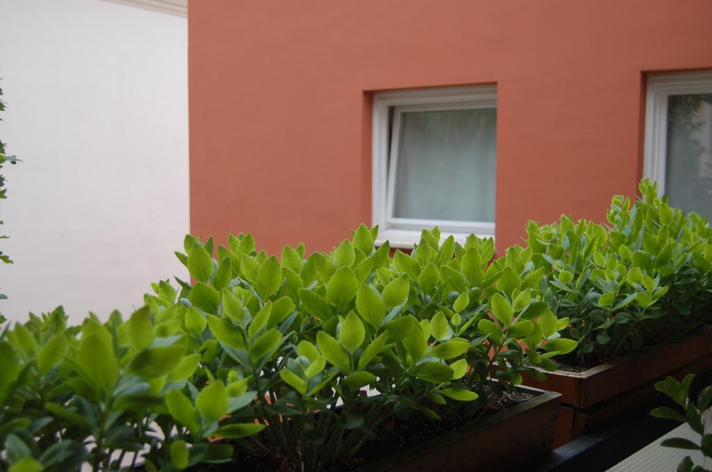Apartmán Buda Castle Budapešť
