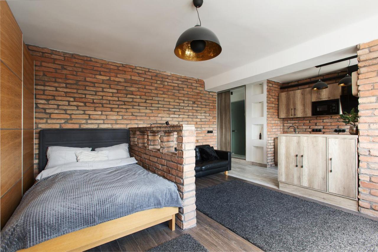 Apartment Industrial Studio