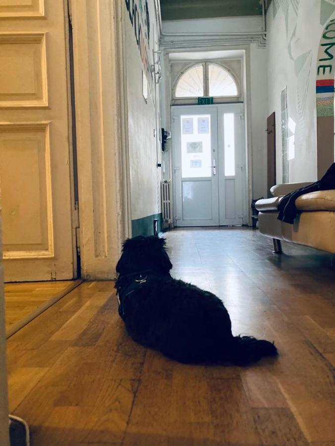 Black Dog Hostal