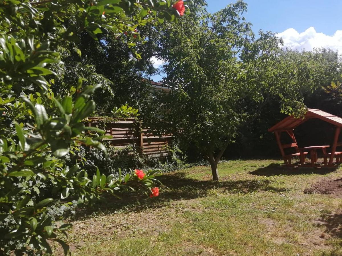 Penzión pre hostí Rakos-patak Family House *
