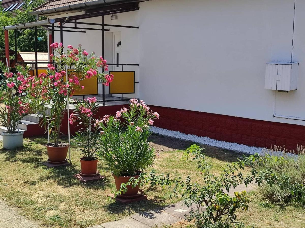 Penzión pre hostí Rakos-patak Family House *