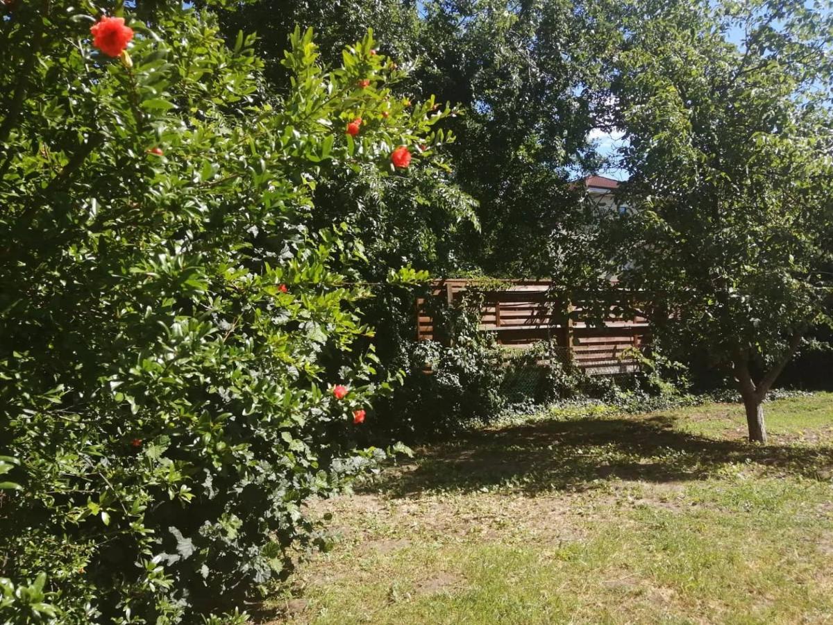 Rakos-patak Family House * Budapešť