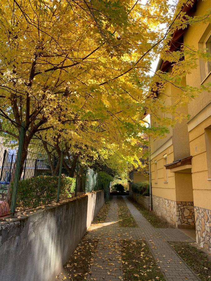 Apartmán Lucky Budapest
