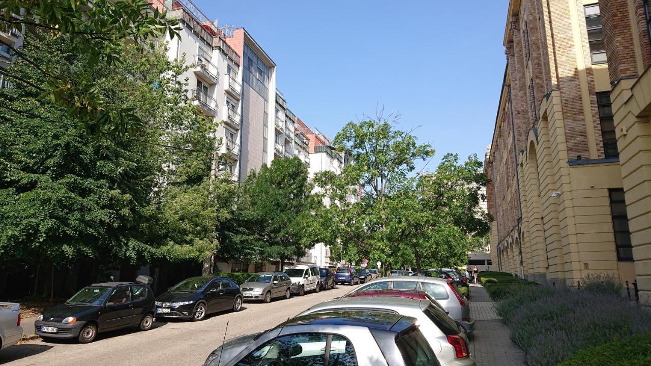 Park - Near The Center Of Buda *