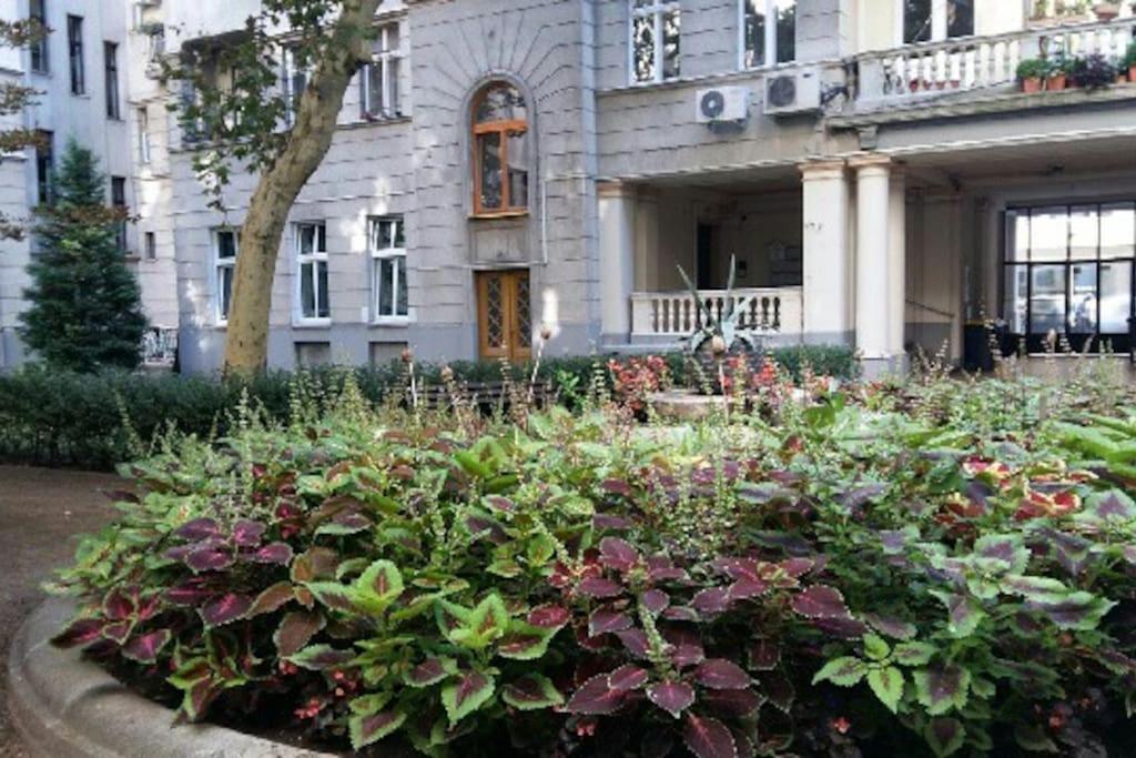 Gorgeous Flat Right Near The Center * Budapest