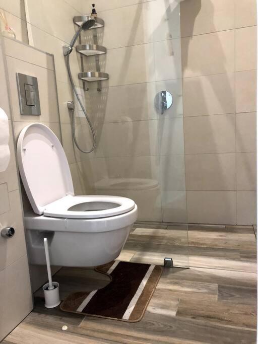 Renovated And Spacious Two-bedroom In Budapešť