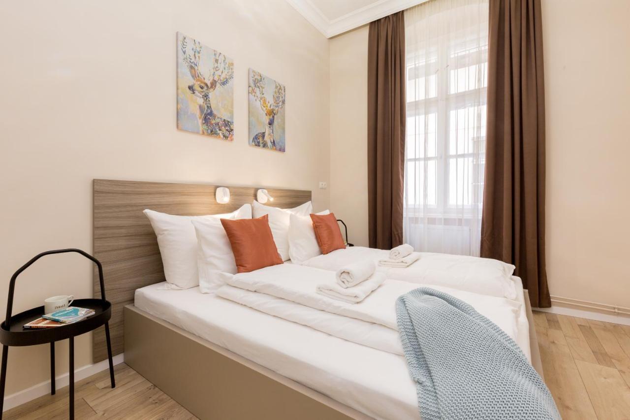 Cozy Dream In The Absolute Center