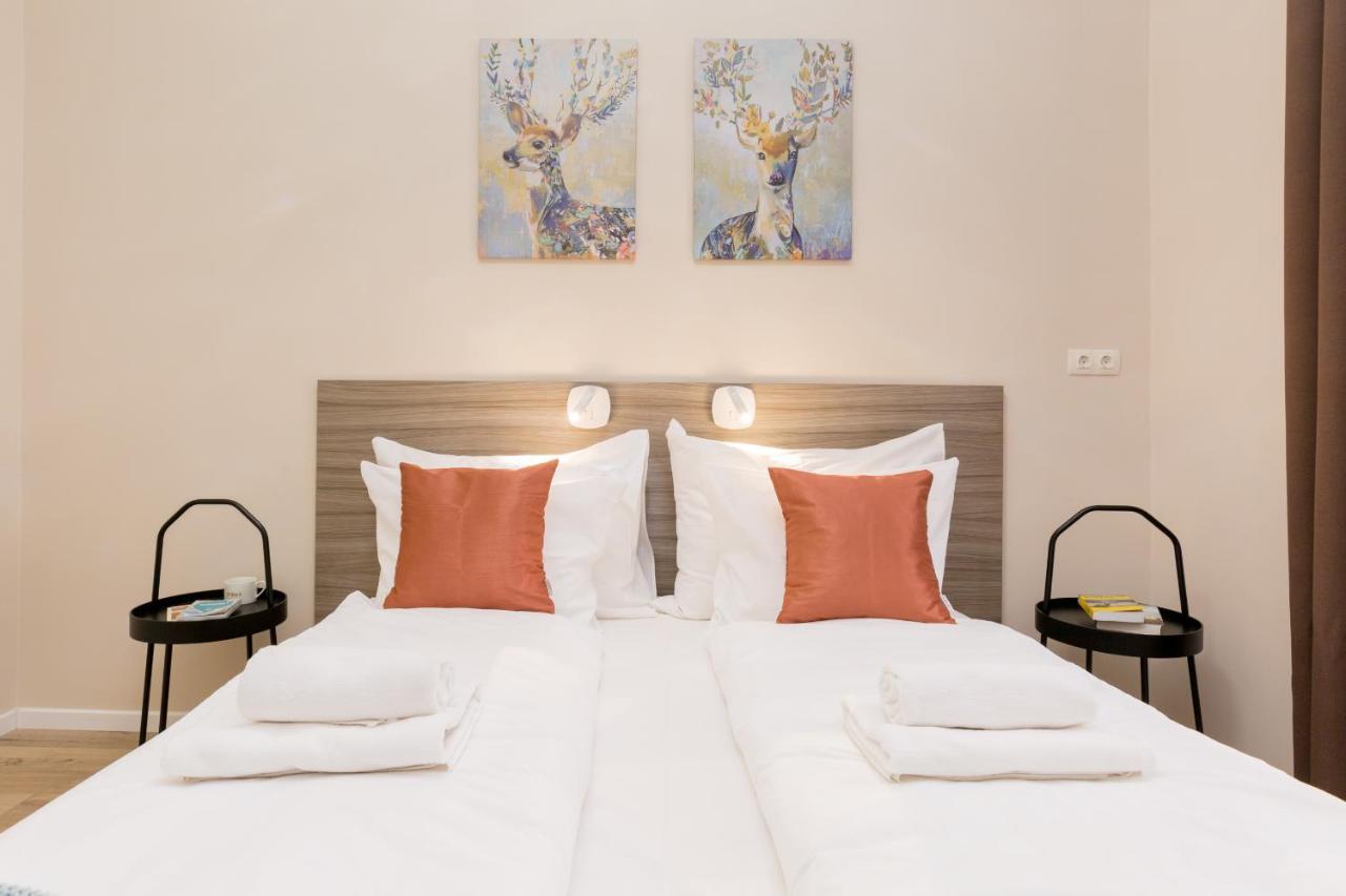 Cozy Dream In The Absolute Center