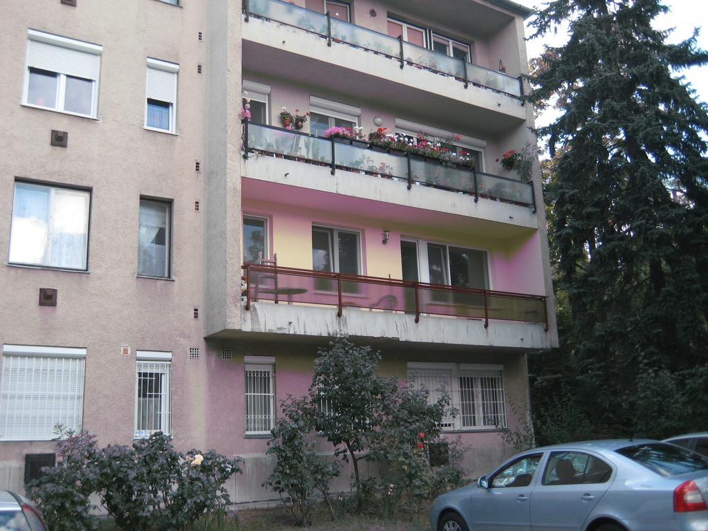 Apartment Platan *