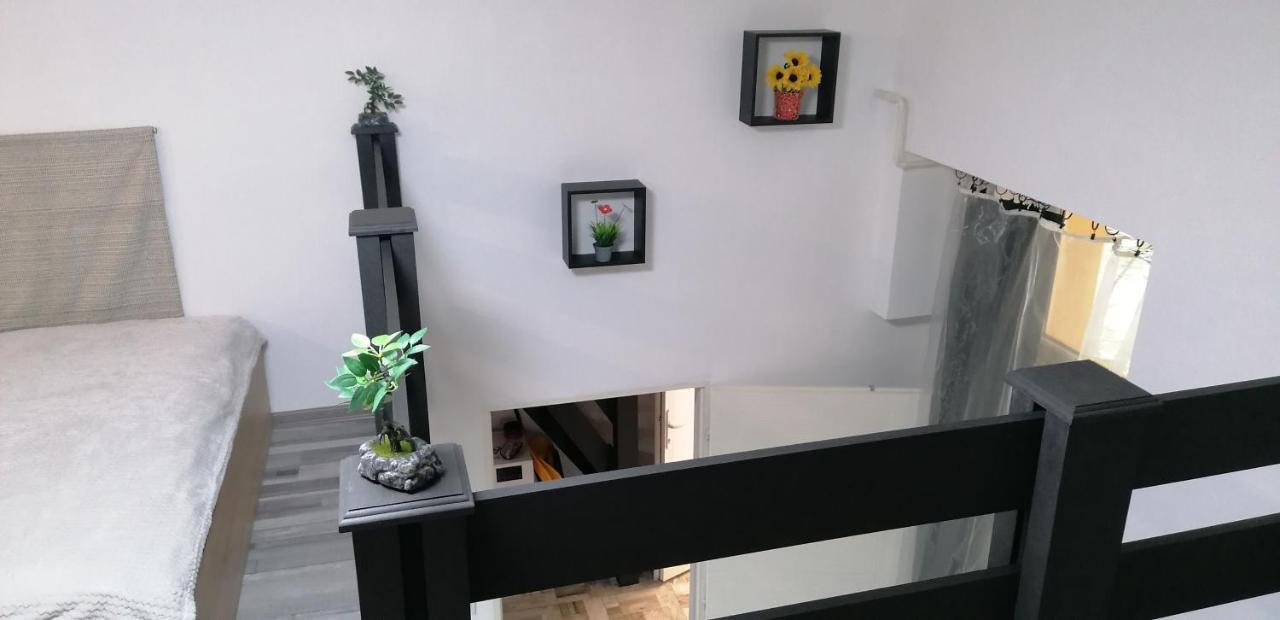 Little-oasis Apartament *
