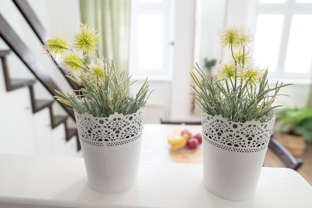 N28 Next To Andrassy Boulevard. Apartamento *