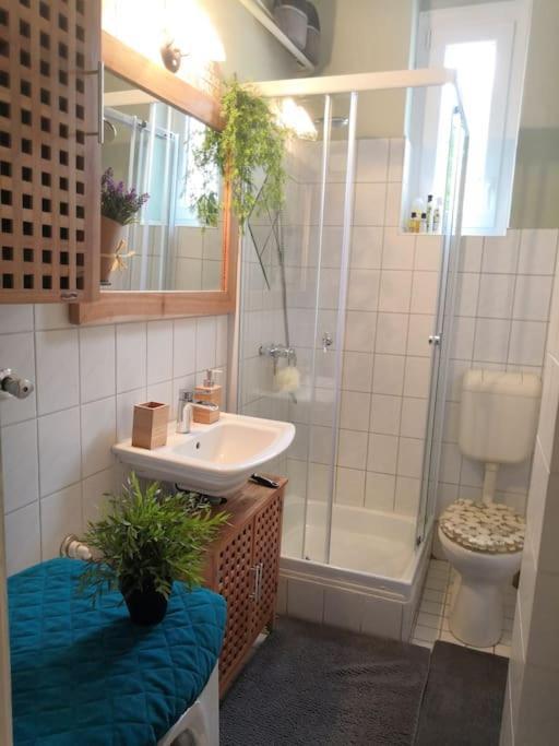 Appartement Park *