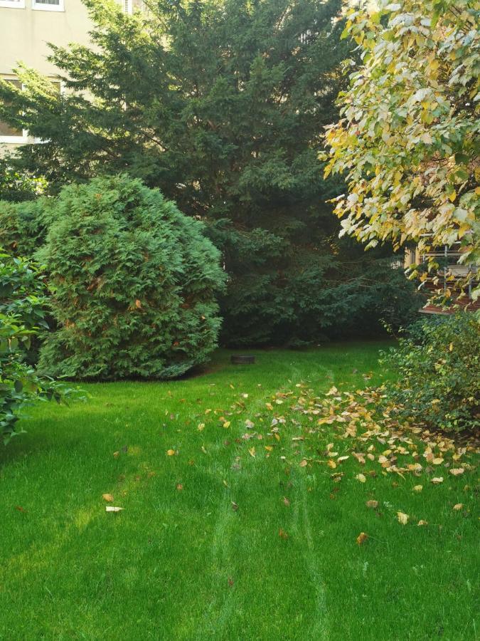 Viola - Newly Furnished With Free Garage! Apartament Budapeszt