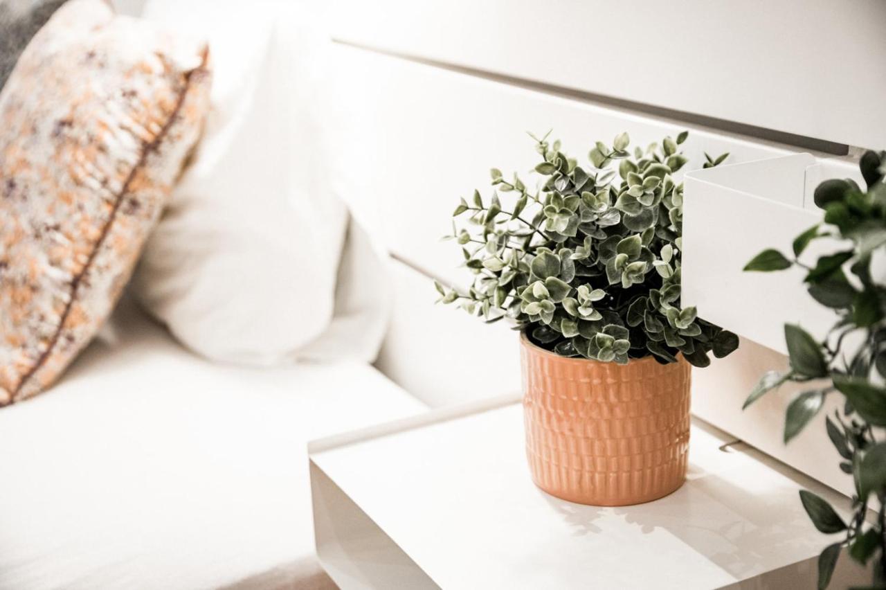 Stylish And Spacious ! Location Kazincy Netflix