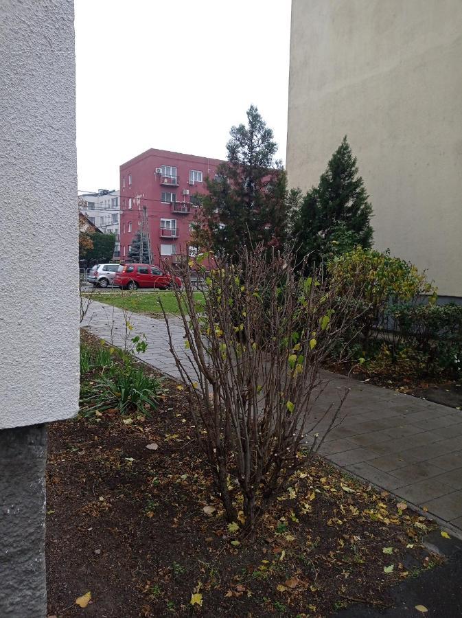 Minigarzon Budapeszt