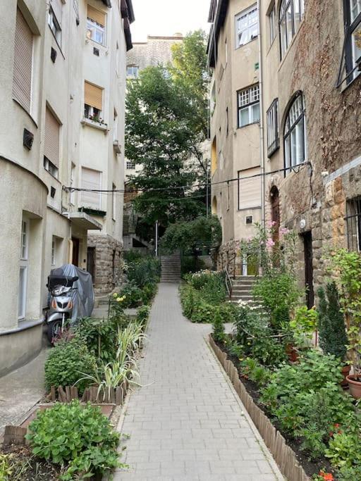 Tiny Private In Central Buda. * Budapest