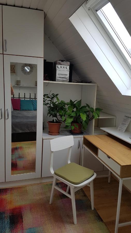 Homestay szállás Családi Haz