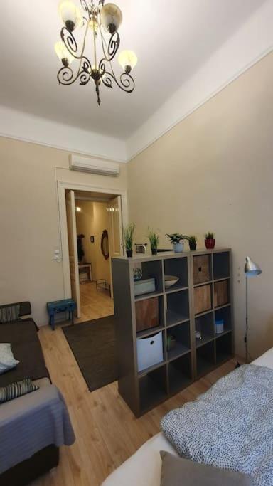 Wesseleny Near Synagogue With Ac After Renovation Budapešť
