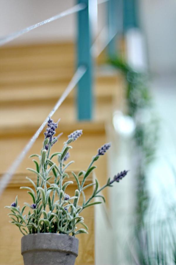 Apartamento Lovely&modern Downtown With Free Parking *