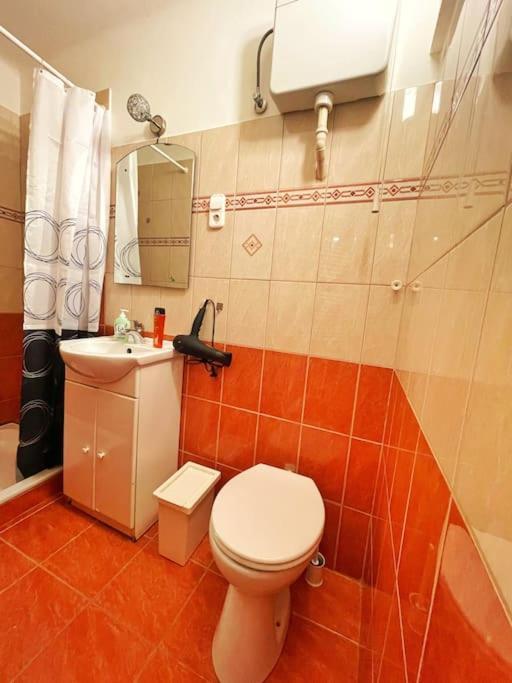 Budget Flat In The Center Budapešť