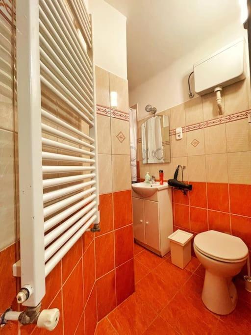 Budget Flat In The Center Budapešť